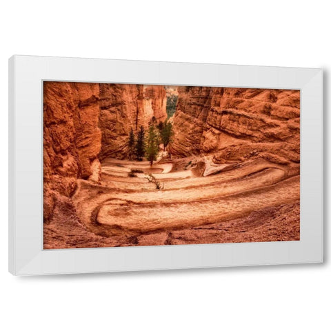 The Switchbacks White Modern Wood Framed Art Print by Head, Danny