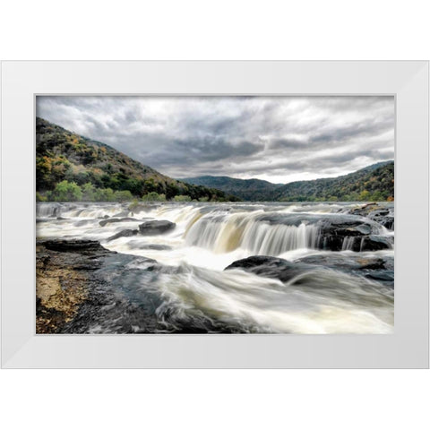 Who Flushed White Modern Wood Framed Art Print by Head, Danny