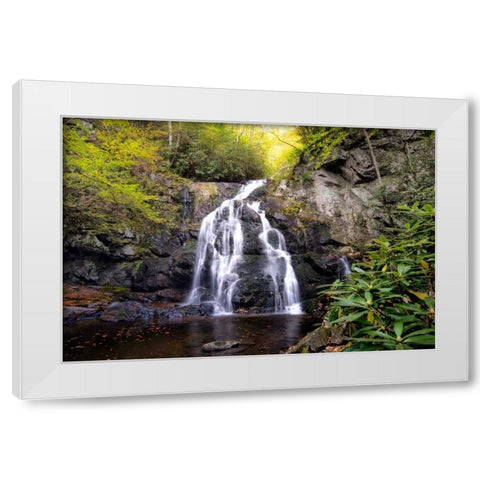 Spruce Flat Falls White Modern Wood Framed Art Print by Head, Danny
