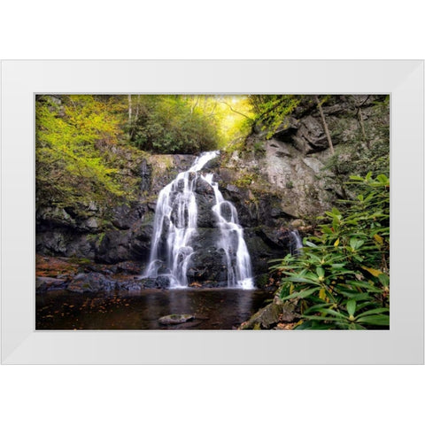 Spruce Flat Falls White Modern Wood Framed Art Print by Head, Danny