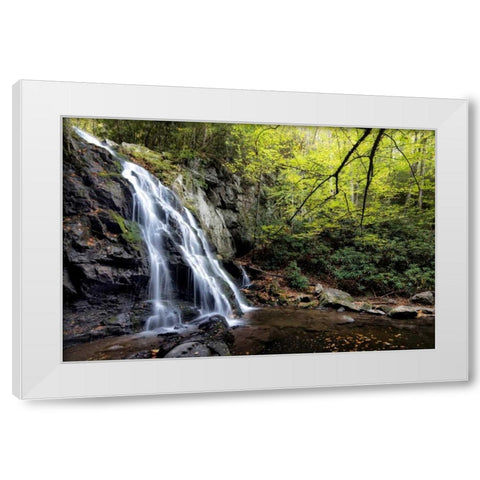 Spruce Flat Falls at Morning White Modern Wood Framed Art Print by Head, Danny
