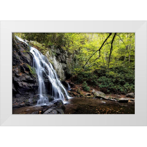 Spruce Flat Falls at Morning White Modern Wood Framed Art Print by Head, Danny