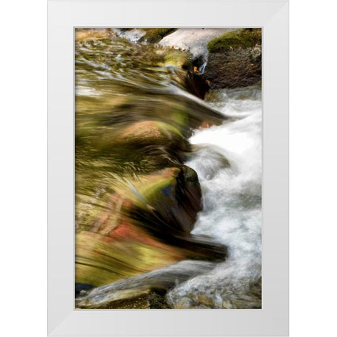 Water Abstract I White Modern Wood Framed Art Print by Head, Danny