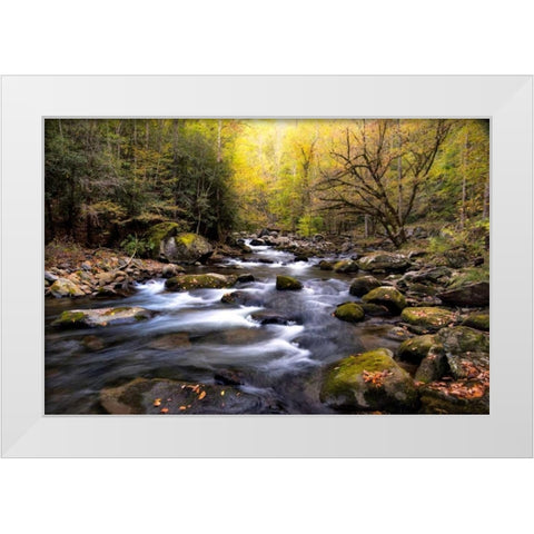 Nightfall on Tremont I White Modern Wood Framed Art Print by Head, Danny