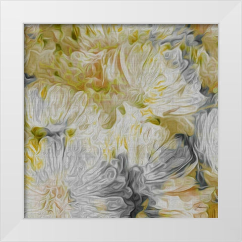 Mums in Sun I White Modern Wood Framed Art Print by Burghardt, James