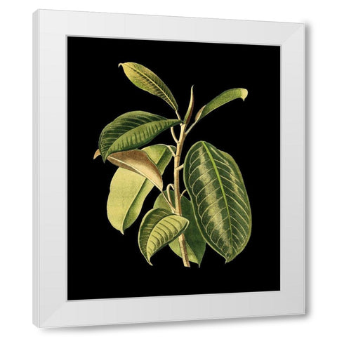 Custom Green Leaves on Black I (LG) White Modern Wood Framed Art Print by Vision Studio