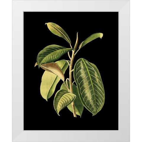 Custom Green Leaves on Black I (LG) White Modern Wood Framed Art Print by Vision Studio