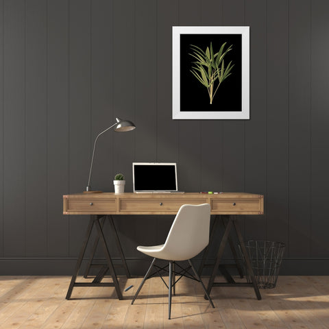 Custom Green Leaves on Black II (LG) White Modern Wood Framed Art Print by Vision Studio