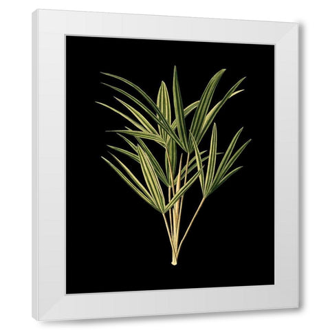 Custom Green Leaves on Black II (LG) White Modern Wood Framed Art Print by Vision Studio