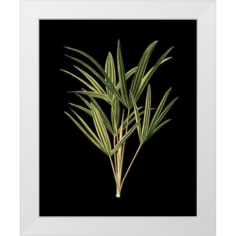 Custom Green Leaves on Black II (LG) White Modern Wood Framed Art Print by Vision Studio