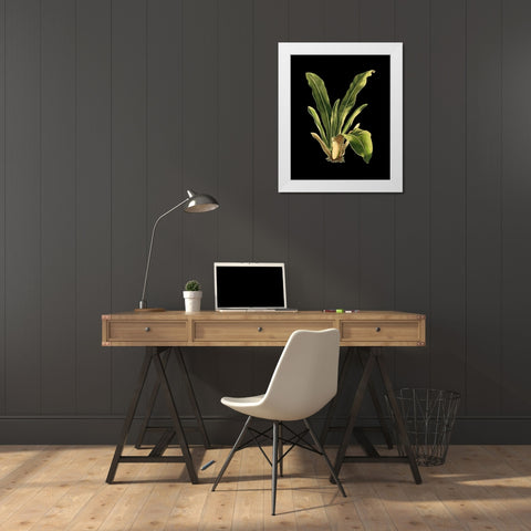 Custom Green Leaves on Black III (LG) White Modern Wood Framed Art Print by Vision Studio