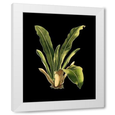 Custom Green Leaves on Black III (LG) White Modern Wood Framed Art Print by Vision Studio