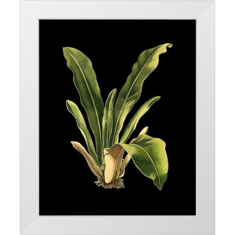 Custom Green Leaves on Black III (LG) White Modern Wood Framed Art Print by Vision Studio