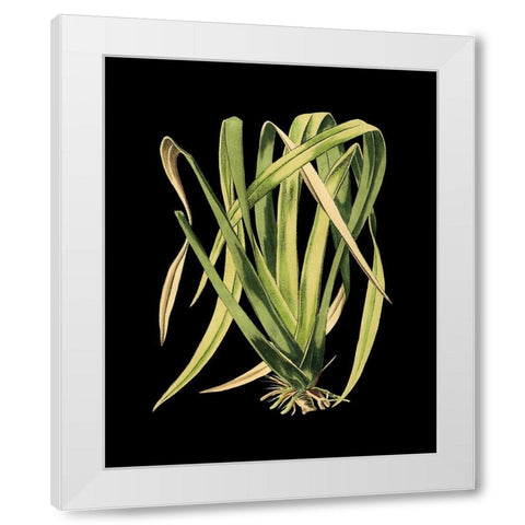 Custom Green Leaves on Black IV (LG) White Modern Wood Framed Art Print by Vision Studio