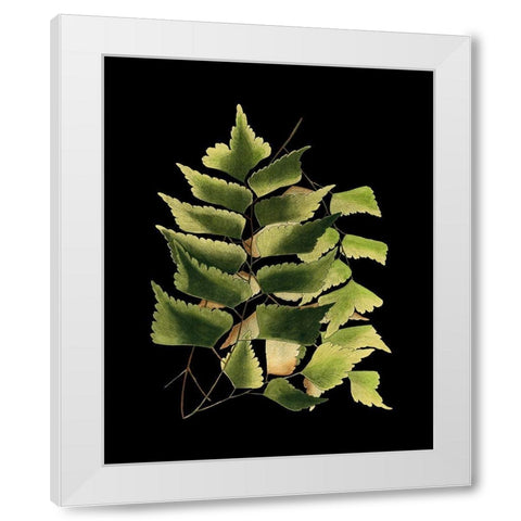 Custom Green Leaves on Black VI (LG) White Modern Wood Framed Art Print by Vision Studio