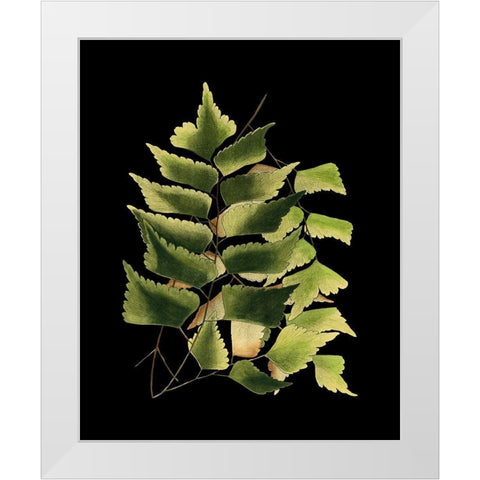 Custom Green Leaves on Black VI (LG) White Modern Wood Framed Art Print by Vision Studio