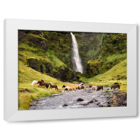 Waterfall Horses II White Modern Wood Framed Art Print by Burchett, P.H.