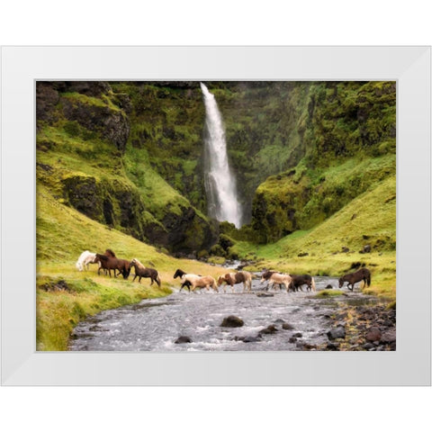 Waterfall Horses II White Modern Wood Framed Art Print by Burchett, P.H.