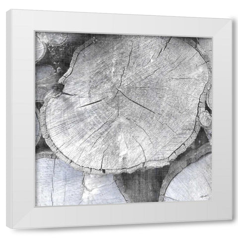 Logging Light IV White Modern Wood Framed Art Print by Butler, John