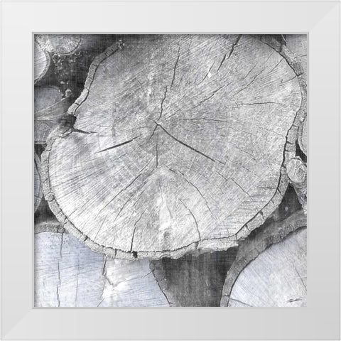 Logging Light IV White Modern Wood Framed Art Print by Butler, John