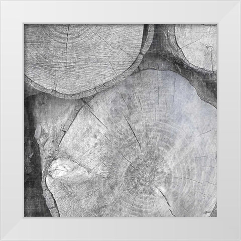 Logging Light V White Modern Wood Framed Art Print by Butler, John