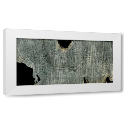 Gray Ghost II White Modern Wood Framed Art Print by Butler, John