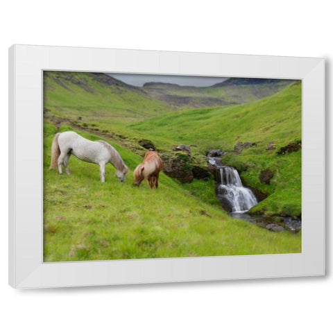 Icelandic Horses I White Modern Wood Framed Art Print by Burchett, P.H.