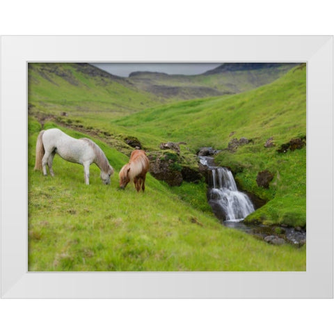 Icelandic Horses I White Modern Wood Framed Art Print by Burchett, P.H.