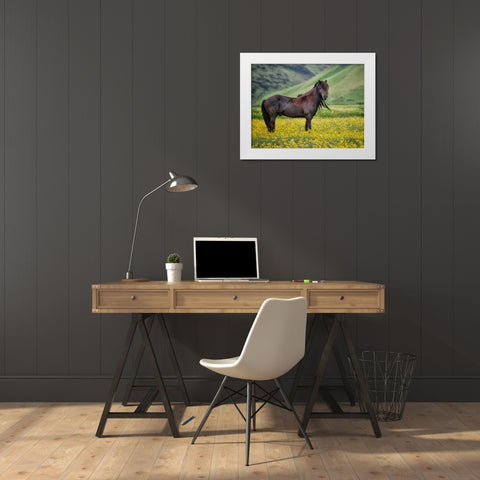 Icelandic Horses VI White Modern Wood Framed Art Print by Burchett, P.H.