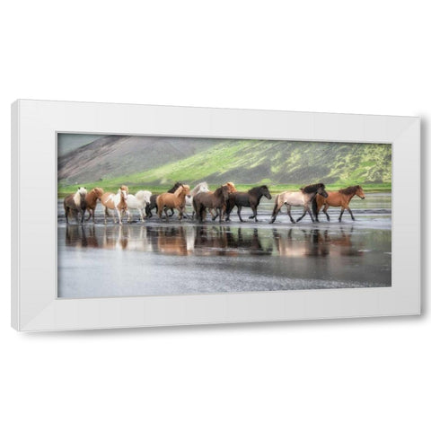 Icelandic Horses XIV White Modern Wood Framed Art Print by Burchett, P.H.