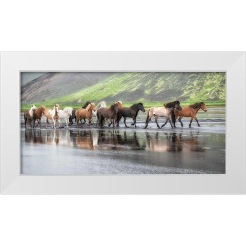 Icelandic Horses XIV White Modern Wood Framed Art Print by Burchett, P.H.