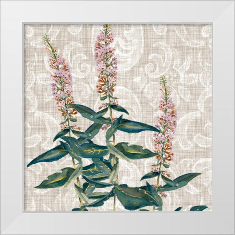 Flower Study Collection D White Modern Wood Framed Art Print by Miller, Dianne
