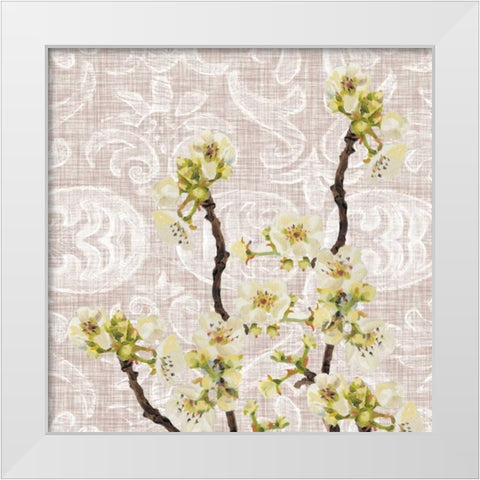 Flower Study Collection E White Modern Wood Framed Art Print by Miller, Dianne