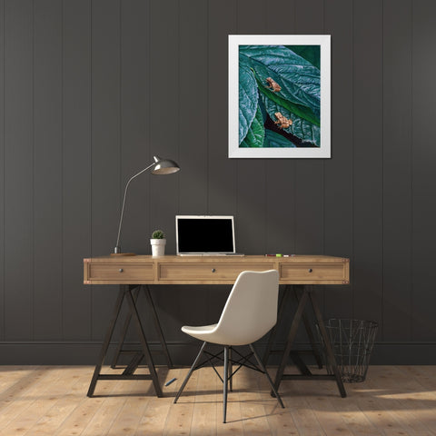 Spring Peepers II White Modern Wood Framed Art Print by Szatkowski, Fred