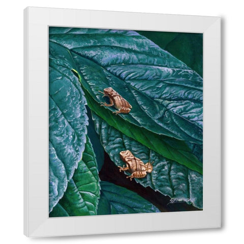Spring Peepers II White Modern Wood Framed Art Print by Szatkowski, Fred