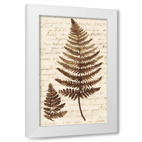 Ferns And Ledgers I White Modern Wood Framed Art Print by McCavitt, Naomi