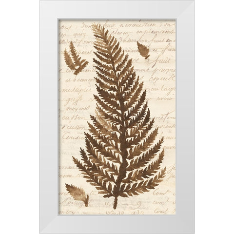 Ferns And Ledgers II White Modern Wood Framed Art Print by McCavitt, Naomi
