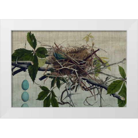 Nesting I White Modern Wood Framed Art Print by Butler, John