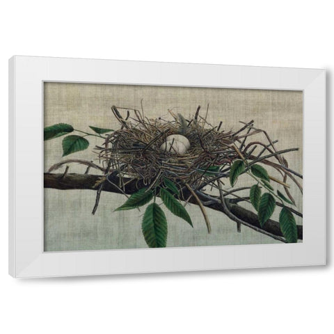 Nesting III White Modern Wood Framed Art Print by Butler, John