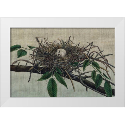 Nesting III White Modern Wood Framed Art Print by Butler, John
