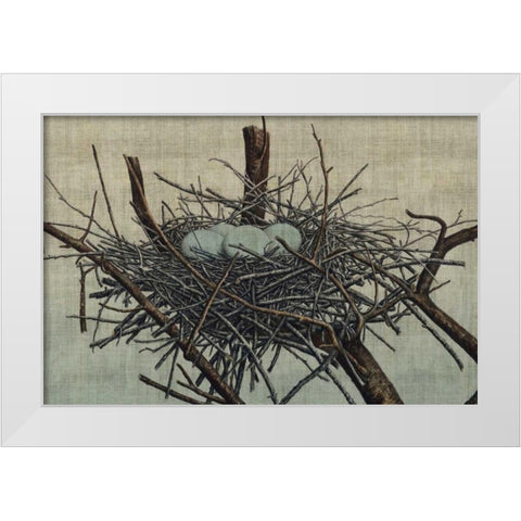 Nesting IV White Modern Wood Framed Art Print by Butler, John