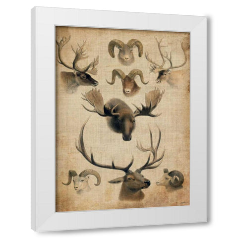 American Trophy I White Modern Wood Framed Art Print by Butler, John