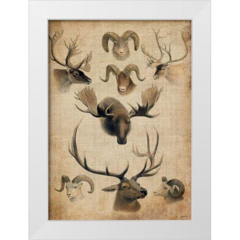 American Trophy I White Modern Wood Framed Art Print by Butler, John