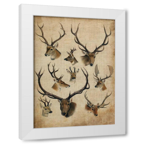 American Trophy II White Modern Wood Framed Art Print by Butler, John