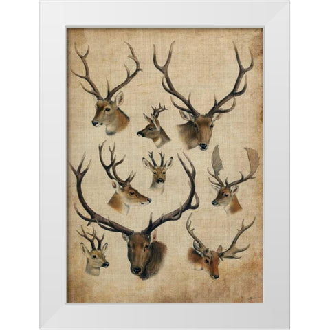 American Trophy II White Modern Wood Framed Art Print by Butler, John