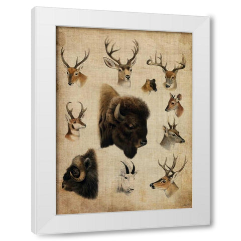 American Trophy III White Modern Wood Framed Art Print by Butler, John