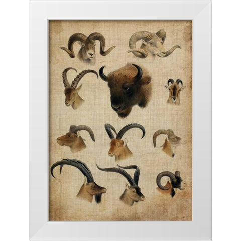 American Trophy IV White Modern Wood Framed Art Print by Butler, John