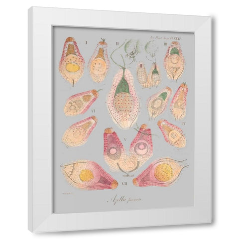 Sea Elements II White Modern Wood Framed Art Print by Goldberger, Jennifer