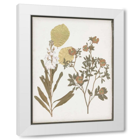 Book-Pressed Flowers I White Modern Wood Framed Art Print by Goldberger, Jennifer