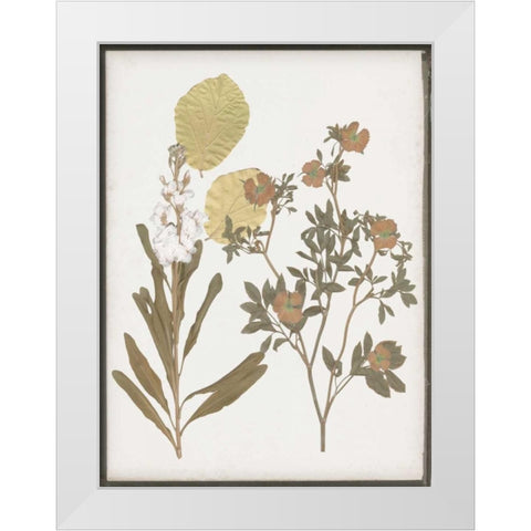 Book-Pressed Flowers I White Modern Wood Framed Art Print by Goldberger, Jennifer